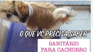 COMPENSA TER UM SANITÁRIO PARA CACHORRO 🤔 lixozero sustentabilidade minimalismo [upl. by Ailehc]