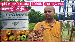 বোরোন BORON এর সঠিক ব্যবহার জেনে নিন  মাটিতে ও Spray হিসেবে বোরোন এর ব্যবহার [upl. by Atnauqahs]