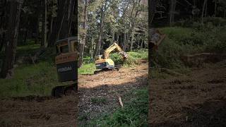 14Ton Digger with Forestry Mulcher vs Dense Blackberry  Epic Land Clearing canyoudigitnz [upl. by Russom]