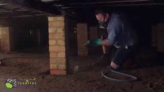 CONQUER TERMITES TERMITE TREATMENT VIDEO [upl. by Licha]