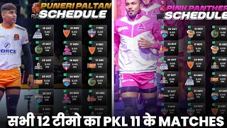 PKL 11 All 12 Teams Matches and Timing Playoffs Matches PKL 2024 [upl. by Trauts]