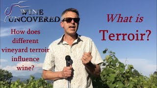 What is Terroir [upl. by Mandeville]