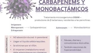 todo sobre antibioticos [upl. by Haimarej]