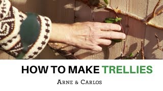 How to make a fun trellis out of recycled tree branches  by ARNE amp CARLOS [upl. by Jaqitsch]