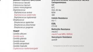 The Evolution of Bloodstream Pathogen Testing [upl. by Allenrac]