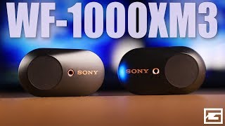 Almost Perfect  Sony WF1000XM3 True Wireless REVIEW [upl. by Eadahc]