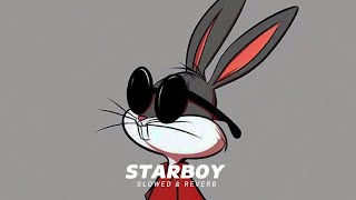 Starboy Slowed amp Reverb  The Weeknd [upl. by Ailecec]