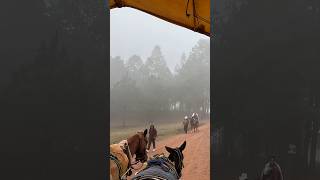 Valle de las Piedras encimadas en Zacatlan de las Manzanas zacatlan travel turismo travel [upl. by Navap813]