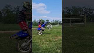 2023 Yamaha TTR 230 doing wheelies dirbike yamaha [upl. by Onavlis829]