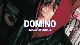 Domino  KAI Isolated Vocals [upl. by Hoag]