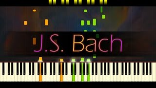 Jesu Joy of Mans Desiring  JS BACH [upl. by Marjy]