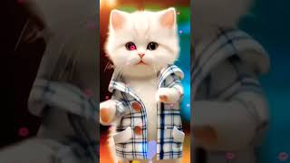 November 21 2024cat dancecute ❣️😼😽😾😾🥰🤡💐🥀😀🧡💛😺😿😻💙💚💚🌹💜🎋🐱❣️ youtube [upl. by Delanty]