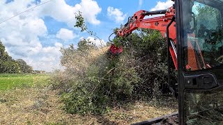 PINPOINT DESTRUCTION Flail Mulcher VS Fixed Forestry Mulcher [upl. by Ardnua]