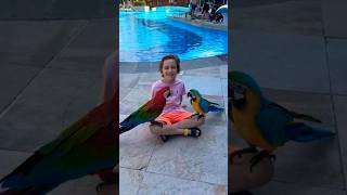 Kids best activities learn how to swim and hold the birds [upl. by Blinnie]