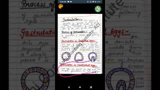 Gastrulation  Process of Gastrulation  Developmental Biology  BSc Zoology  Rehan Khan Sir [upl. by Lebaron161]