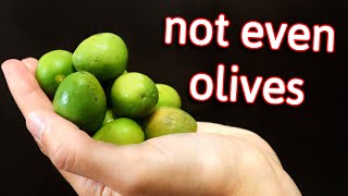 Chinese Olives  The Surprising Truth Behind This Much Misunderstood Fruit [upl. by Hanala498]