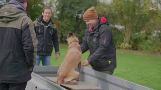 Test der Wesensprüfung  1 Hund kompletter Ablauf [upl. by Sanburn]