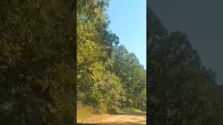 Dirt Road Turkey Pen Rd AR USA quotPhilAm Country Livingquot [upl. by Stacey]