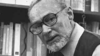 Dal libro Se questo è un uomo di Primo Levi [upl. by Adelina729]