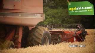 Moisson des escourgeons avec une Case Axial Flow 1640 [upl. by Kennith]