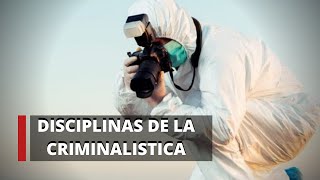 Disciplinas de la Criminalística  Criminalística [upl. by Eneleoj]