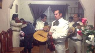 El andariego mariachi [upl. by Aisaim]