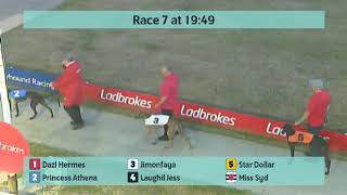 Crayford Greyhounds Races on 1st September 2024 [upl. by Jangro]