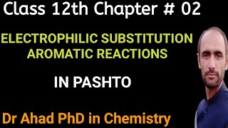 ELECTROPHILIC AROMATIC SUBSTITUTION REACTIONS  CLASS 12TH  DR AHAF6 [upl. by Yaner]