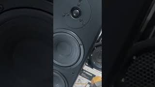 Floorstanding Speaker Yamaha NSF160 Playing Deep House Italo Style Short [upl. by Diskson]