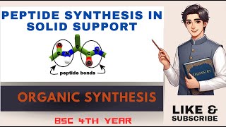 Peptide synthesis on solid support bsc4thyear peptidebond aminoacid chemistry synthesis [upl. by Attwood56]