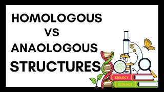 Homologous Structures vs Analogous Structures [upl. by Salamone]