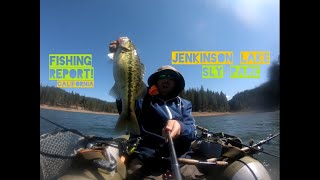 Jenkinson Lake SlY PARK California Fishing Report September [upl. by Nebuer]