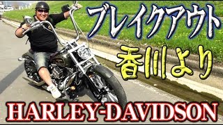 ご来店25 ハーレーブレイクアウト HarleyDavidson ハーレーダビッドソン BREAKOUT FXSB [upl. by Shiroma423]