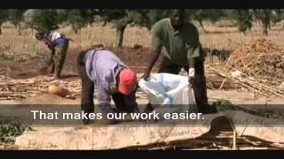 The Threshing Floor  Far North Cameroon [upl. by Cavan]