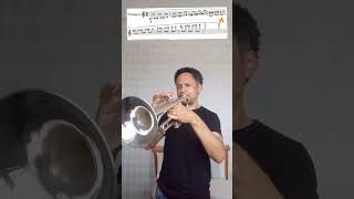 chromatic scale practice High notes trumpet [upl. by Rolecnahc]