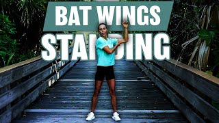 Effective Standing Bat Wings Workout  At Home No Equipment [upl. by Aan]