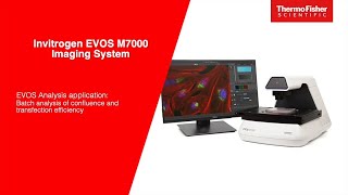 EVOS M7000 Analysis application Batch analysis of confluence and transfection efficiency [upl. by Alrahs]