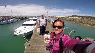 Crayfishing in Bluff NZ [upl. by Sivrep392]