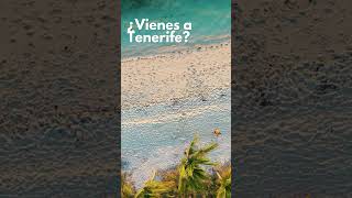 ¿Vienes a Tenerife [upl. by Thaddaus]