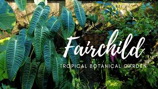 Fairchild Tropical Botanical Garden Tour [upl. by Reinertson895]