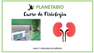 Aula 7  Fisiologia do Néfron curso de fisiologia [upl. by Angelina]