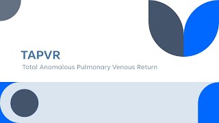 TAPVR Total Anomalous Pulmonary Venous Return [upl. by Knah]