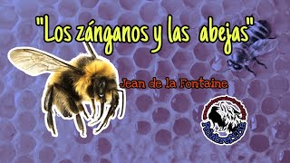 Los zánganos y las abejas Jean de la Fontaine Palabrefilia [upl. by Bjorn235]