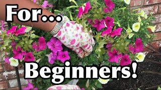 How To Keep Your Petunias Full And Flowering  Pruning Petunias For Beginners [upl. by Gypsy712]