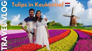 Tulip Farm  Kuekonhof  Windmill Cruise  Day Trip from Amsterdam Netherlands 🇳🇱 Europe 2024 ❤️ [upl. by Aroved]