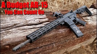 DelTon Sierra 316L Full Review Budget AR15 You Can Count On [upl. by Whittaker322]