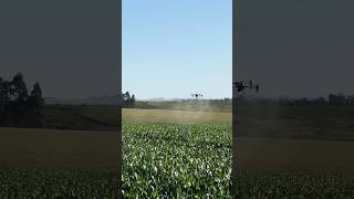 Drone DJI T50 com 4 atomizadores agricola drone droneagricola dji djiagras djit50 [upl. by Chance265]