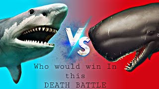 Megalodon vs livyatan  Who will win  Animaltalkchannel kingofbeasts1866 BattleOffBeasts [upl. by Eissak543]