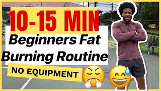 Beginners 1015 Min Easy Fat Burning Daily Routine  No Equipment Easy Workouts [upl. by Ahsitneuq]