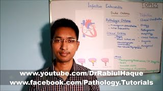 Infective Endocarditis Part 1 HD [upl. by Anilehcim243]